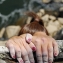 Amanda McCullough Profile Pic